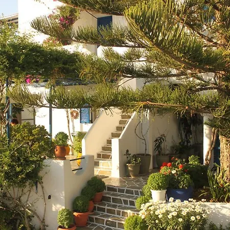 Pandora * Naousa (Paros)